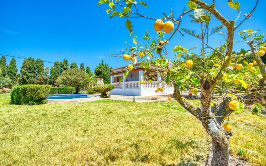 GRAN CHALET EN VENTA EN SANTA MARIA DEL CAMI, MALLORCA